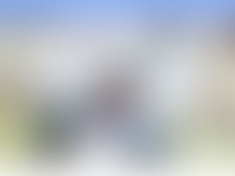 Celebremos a vida: vitória no HFT!