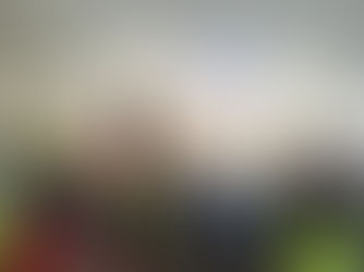 50 anys defensant la democràcia