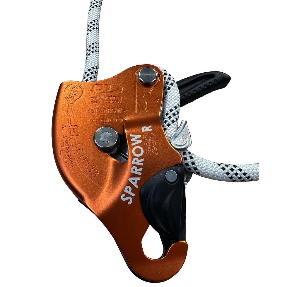 Thumbnail: Orange and black Skylotec Sparrow descender on a white rope