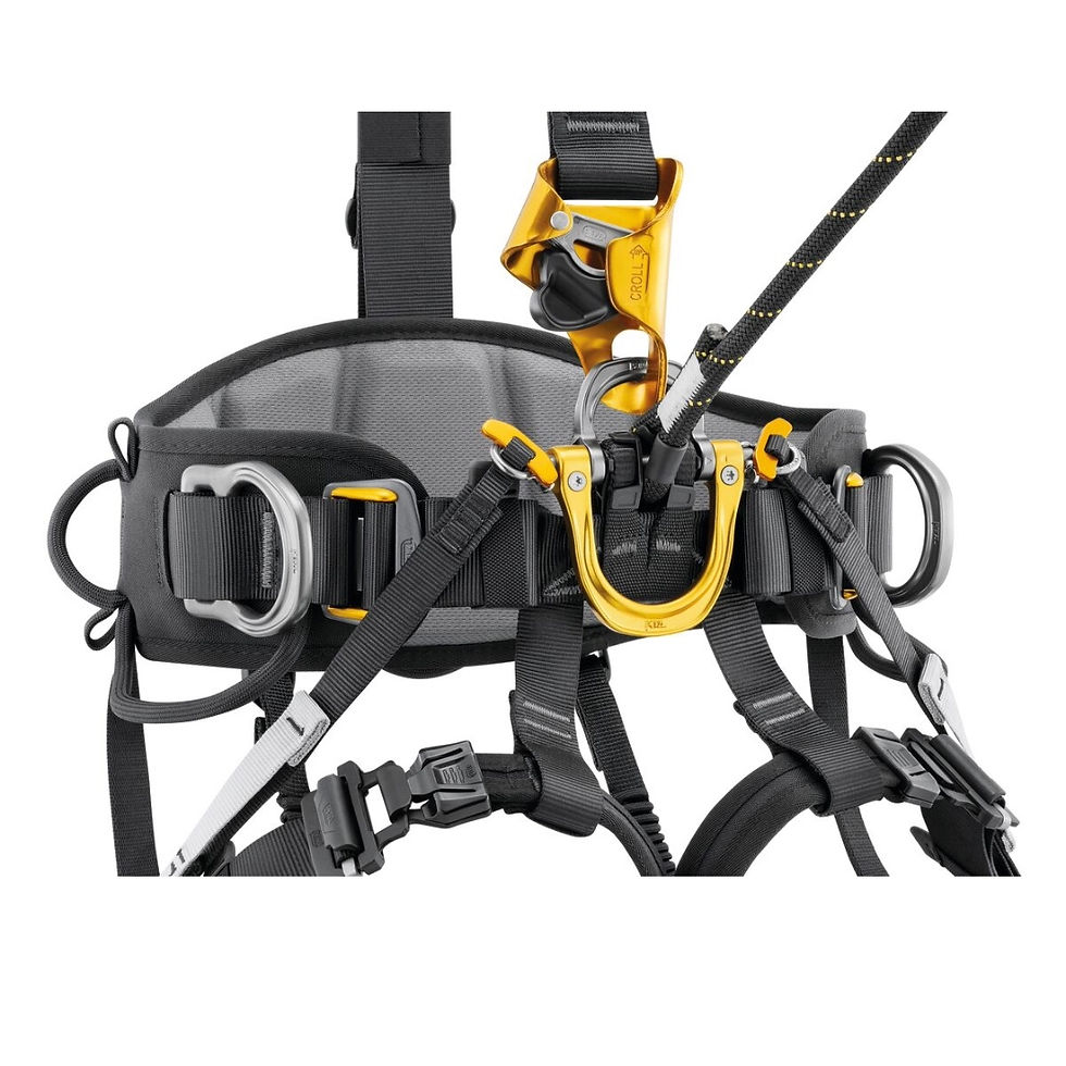 Thumbnail: Black and yellow climbing safety harness