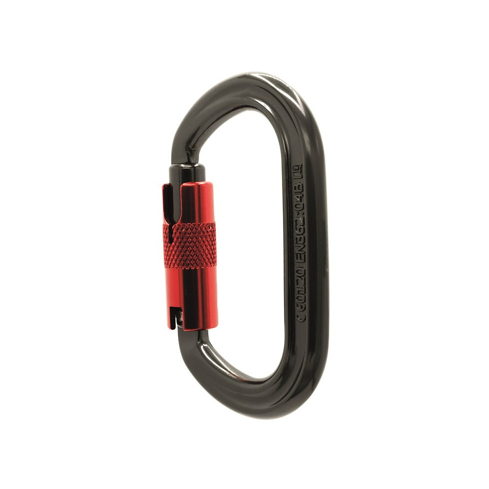 Offset Oval Karabiner back view