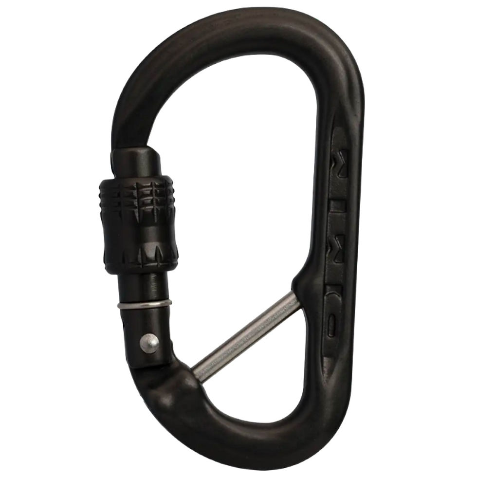 Black accessory karabiner