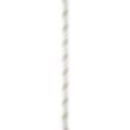 White Petzl Parallel rope 10.5mm diameter