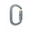 Thumbnail: Oval Karabiner titanium