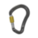 Black Boa HMS Karabiner with gold screwgate