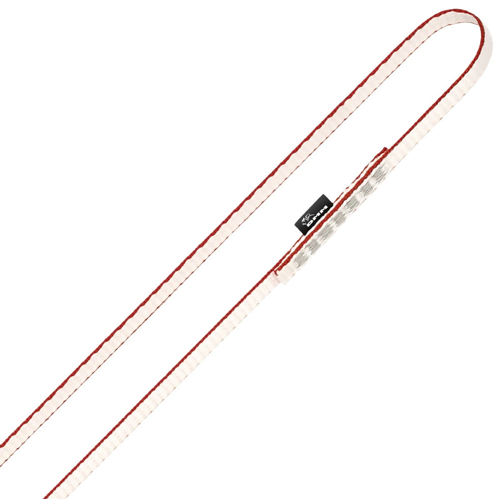 Thumbnail: Red Dynatec sling