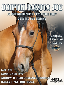 2026 BHSS Sale Horse Fliers (1).png
