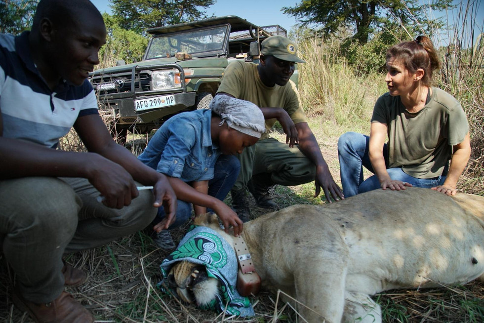 THE AGE OF NATURE: GORONGOSA NATURE RESERVE, MOZAMBIQUE