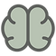 brain (2).png