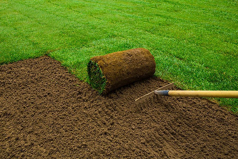 bigstock-turf
