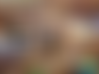 Crowdfunding Campaign Repair Café Highlight: Napier Repair Café