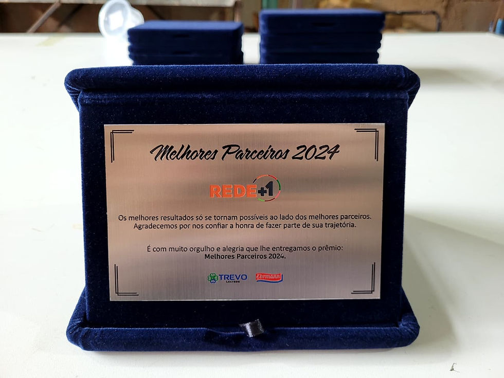 Miniatura: Placa de homenagem com estojo