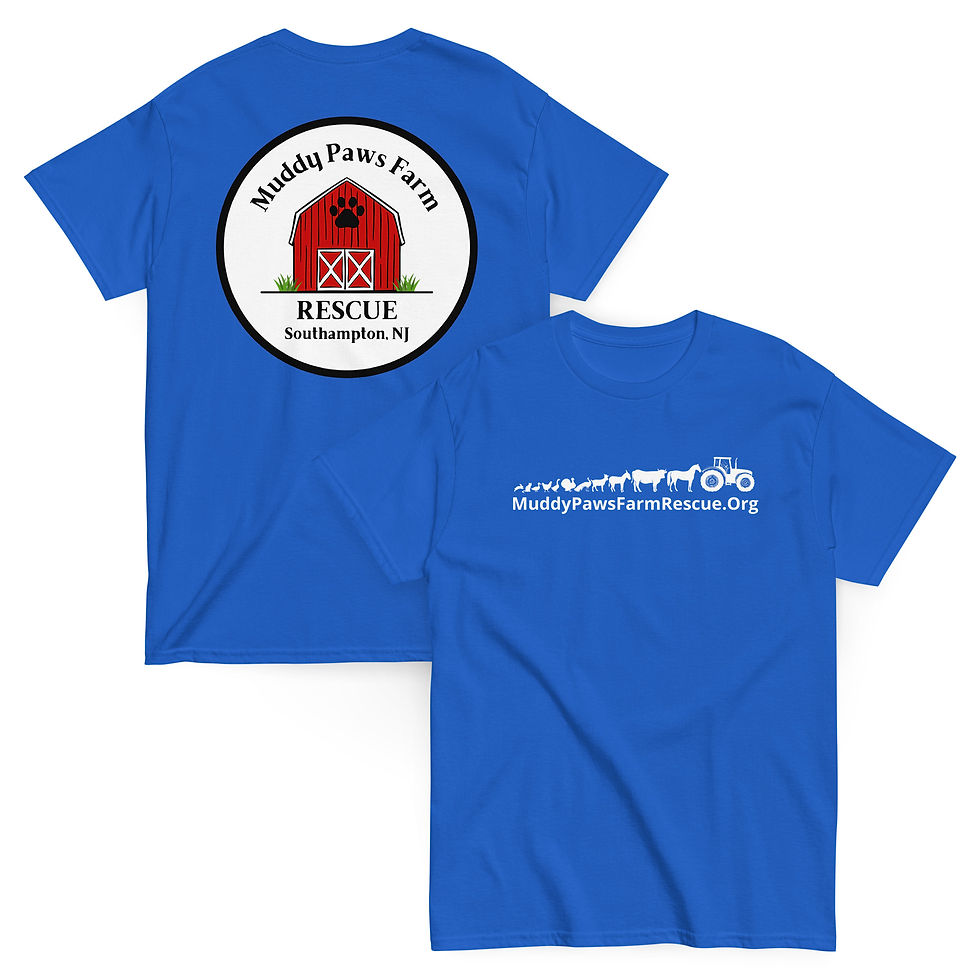 Thumbnail: Unisex classic tee