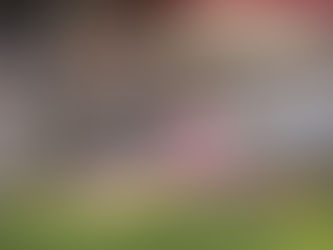 All About Muddy Paws Farm Rescue