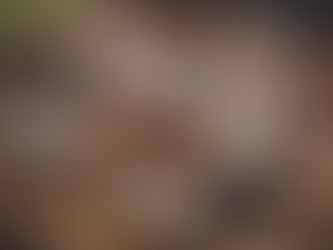 Support Animal Rescue: Sponsor a Farm Animal Today!