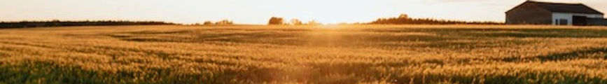Eastough's Ag Training, Cert II, III & IV in Agriculture. HV Pilot Training, Chemical Accreditation, Chem Cert