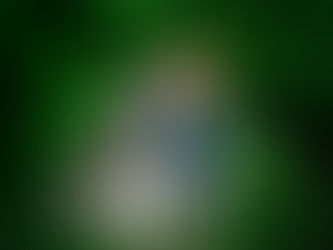 Utah Portrait and Pet Photographer