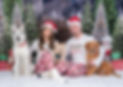 Pets R Family--2.jpg