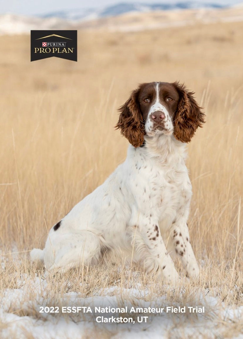 2022 English Springer Spaniel National Field Trial Amateur Championship in Clarkston, Utah with dog photographer Lisa Olson with Pets R Family in Ogden Utah