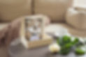 folio box of matted and mounted prints by profesional dog photographer located in north ogden utah with lisa olson and pets r family