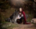 on location pet photo shoot in ogden utah with pet photographer lisa olson with pets r family. fall photos. little red ridding hood themed photo shoot. grey husky that looks like a wolf