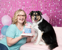 dog cake smash photo shoot with dog mom and mini Aussie puppy. dog cake made by puppy up pastries. dog on pink couch in front of pink party backdrop having a photo shoot with pet photographer Lisa Olson with pets r family.