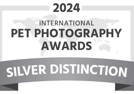 International Pet Photography Awards