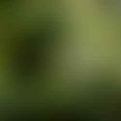 Flight of the Century