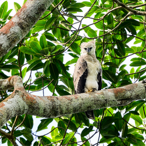      COLOMBIA, OUR NEXT STOP!