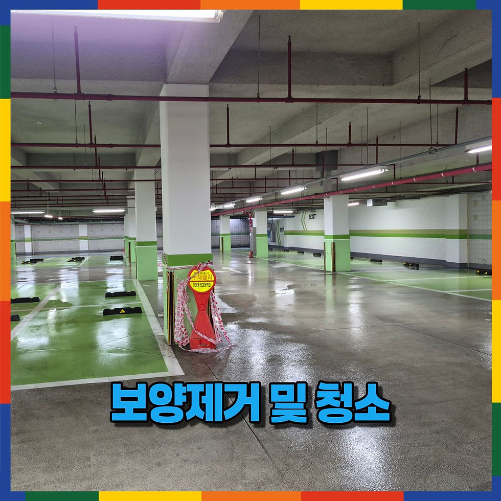 보양제거 및 청소