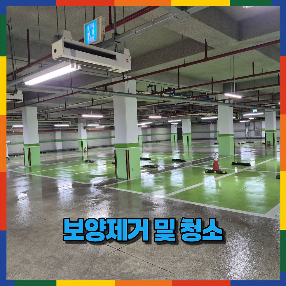 보양제거 및 청소