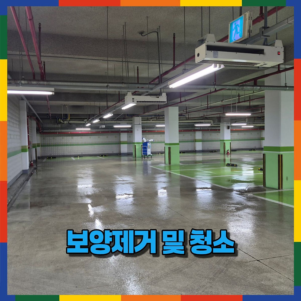보양제거 및 청소