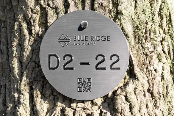 Custom QR Code Tree Tags