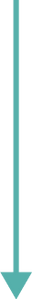 Arrow 137.png