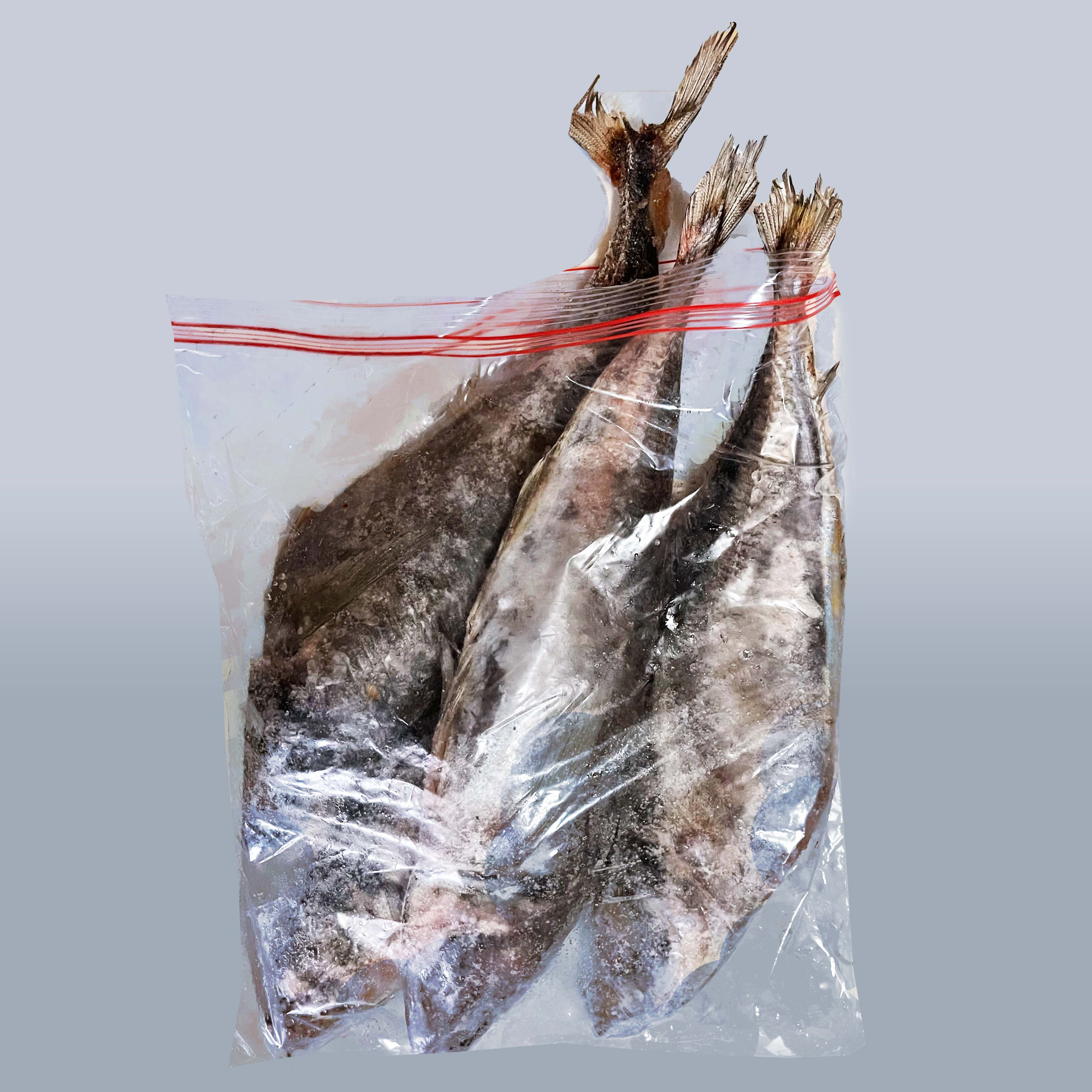 Fresh Mackerel (Pack of 3)