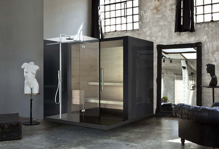Cabine Douche Sauna.jpeg