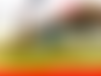 Comparativa 2025: pluma telescópica vs. pluma articulada