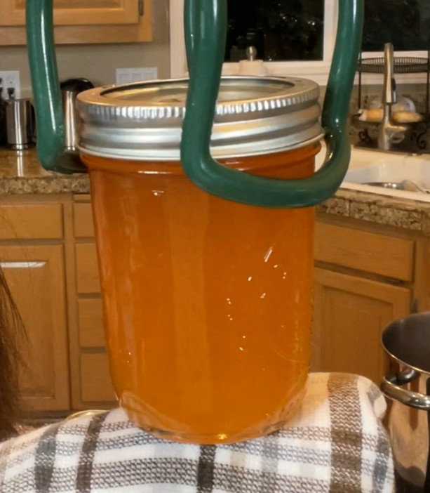 Orange Jelly | Stacey Can Can