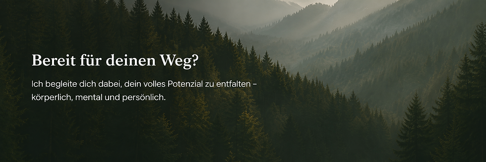 MeinAnsatzBereit.png