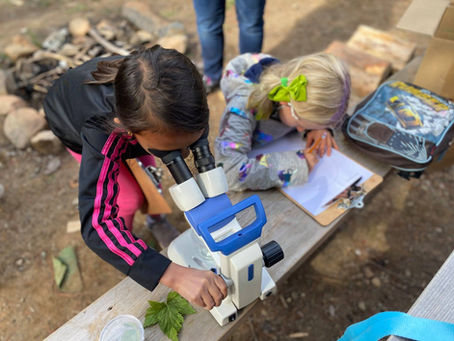 Local Forest Professional’s Educational Outreach Featured in BC Forest Professional Magazine