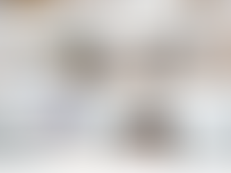 Building a Community with Thompson Landing on Royal: The Final Suites