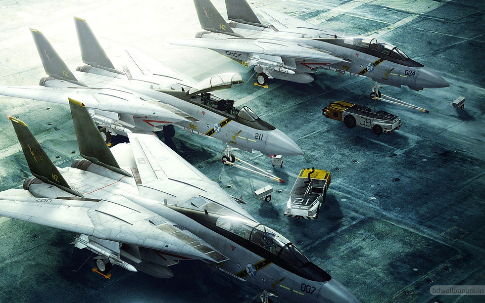 F-14 Tomcat AIRcraft fhd (15)