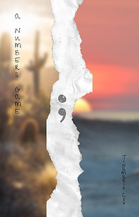 ANG Cover (1600 x 2250 px).jpg