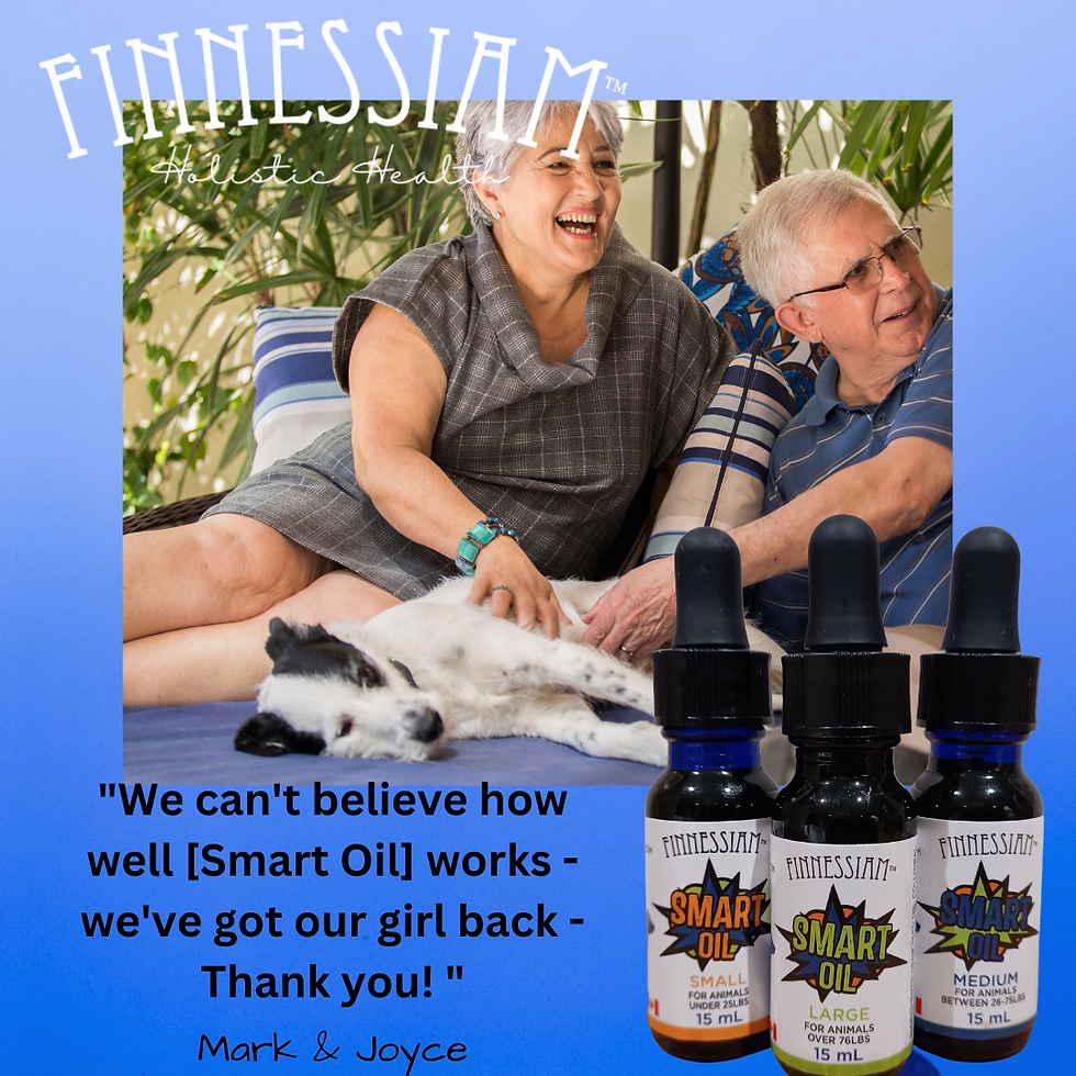 Thumbnail: Smart Oil