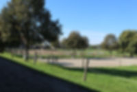 37D59C01-E4D7-48F0-9301-5CD99B75C89F.jpeg