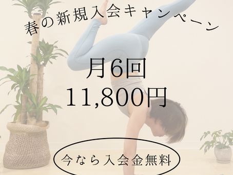春の新規入会キャンペーン