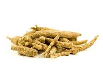 Siberian ginseng