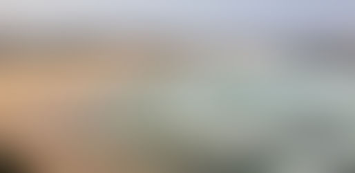 Attraction - Bondi Beach Review