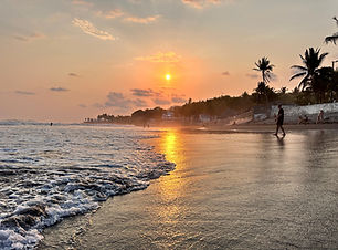 IMG_7439_edited.jpg