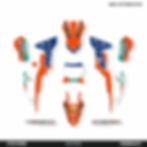 Thumbnail: Graphic Kit for KTM SX50 Model